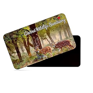 dhcrafts rectangular rubber fridge magnetmagnetic card multicolor uttarakhand govind pashu vihar national park amp sanctuar design pack of 1 86cm x 54cm