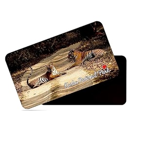 dhcrafts rectangular rubber fridge magnetmagnetic card multicolor kanha tiger reserve madhya pradesh design pack of 1 86cm x 54cm
