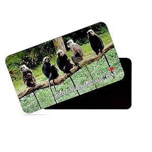 dhcrafts fridge magnet rectangle acrylic glass 86 x 54 cm multicolor kerala silent valley national park design pack of 1