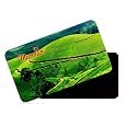 dhcrafts Rectangular Rubber Fridge Magnet/Magnetic Card Multicolor Kerala Munnar Design Pack of 1 (8.6cm x 5.4cm)