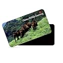 dhcrafts Rectangular Rubber Fridge Magnet/Magnetic Card Multicolor Kerala Chinnar Wildlife Sanctuary Design Pack of 1 (8.6cm x 5.4cm)