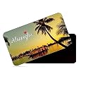 dhcrafts Rectangular Rubber Fridge Magnet/Magnetic Card Multicolor Kerala Alappuzha Design Pack of 1 (8.6cm x 5.4cm)