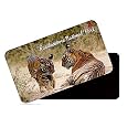 dhcrafts Rectangular Rubber Fridge Magnet/Magnetic Card Multicolor Ranthambore National Park Rajasthan Design Pack of 1 (8.6cm x 5.4cm)
