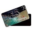 dhcrafts Rectangular Rubber Fridge Magnet/Magnetic Card Multicolor Uttarakhand Devprayag Design Pack of 1 (8.6cm x 5.4cm)
