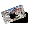 dhcrafts Rectangular Rubber Fridge Magnet/Magnetic Card Multicolor Jammu and Kashmir Shri Amarnath Caves Temple Design Pack of 1 (8.6cm x 5.4cm)