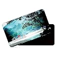 dhcrafts Rectangular Rubber Fridge Magnet/Magnetic Card Multicolor Karnataka Dandeli Design Pack of 1 (8.6cm x 5.4cm)