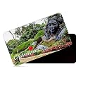 dhcrafts Rectangular Rubber Fridge Magnet/Magnetic Card Multicolor Karnataka Chikmangalur D1 Design Pack of 1 (8.6cm x 5.4cm)