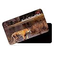 dhcrafts Rectangular Rubber Fridge Magnet/Magnetic Card Multicolor Sariska Tiger Reserve Rajasthan Design Pack of 1 (8.6cm x 5.4cm)