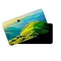 dhcrafts Rectangular Rubber Fridge Magnet/Magnetic Card Multicolor Karnataka Chikmangalur D10 Design Pack of 1 (8.6cm x 5.4cm)