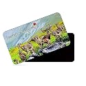 dhcrafts Rectangular Rubber Fridge Magnet/Magnetic Card Multicolor Eravikulam National Park Kerala Design Pack of 1 (8.6cm x 5.4cm)