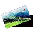 dhcrafts Rectangular Rubber Fridge Magnet/Magnetic Card Multicolor Kerala Vagamon Design Pack of 1 (8.6cm x 5.4cm)