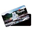 dhcrafts Rectangular Rubber Fridge Magnet/Magnetic Card Multicolor Tirupati Design Pack of 1 (8.6cm x 5.4cm)