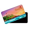 dhcrafts Rectangular Rubber Fridge Magnet/Magnetic Card Multicolor Kerala Kovalam Design Pack of 1 (8.6cm x 5.4cm)