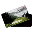 dhcrafts Rectangular Rubber Fridge Magnet/Magnetic Card Multicolor Himachal Pradesh Naldehra Design Pack of 1 (8.6cm x 5.4cm)
