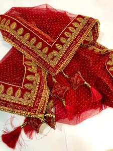 dhenu net embellished women dupatta