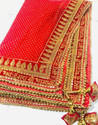 dhenu Net Embellished Women Dupatta