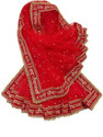 dhenulace Net Embellished, Solid, Embroidered Women Dupatta