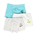 Boys Boxer Kid39s Shorts Underwear Toddler Panties