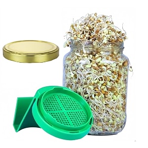 Diablos Sprouts Maker Jar BPA-Free and Reusable