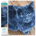 DIAMOND DOTZ Velvet Diamond Painting Kit for Adults, Diamond Art Craft