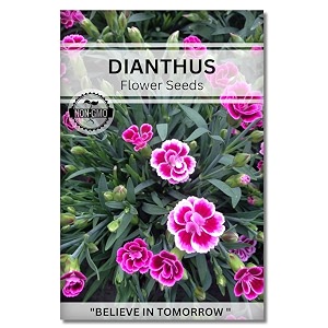 navika seeds  grow with us dianthus flower seeds for home gardeningamp terrace gardening winter amp summer blooms in india-includes free e-book for kitchenbackyardgardening amp plantinghigh germination