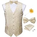 DiBanGu Mens Paisley Suit Vest Bowtie Formal/Casual Dress Waistcoat