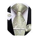 DiBanGu Silk Floral Ties for Men Woven Paisley Necktie