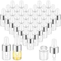 Didaey 100 Pcs Mini Glass Oil Dropper Bottle, 2 ml, Classic Silver