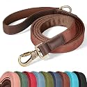 Didog PU Leather Dog Leash for Large Dogs, 6ft Soft Padded Handle, Brown