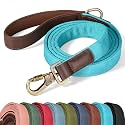 Didog PU Leather Dog Leash for Large Dogs, 6ft Padded Handle, Light Blue