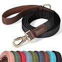 Didog PU Leather Dog Leash for Large Dogs, 6ft Soft Padded Handle, Black