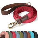 Didog PU Leather Dog Leash for Large Dogs, 6ft Soft Padded Handle, Red