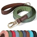 Didog PU Leather Dog Leash for Large Dogs, 6ft Soft Padded Handle, Green