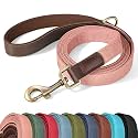 Didog PU Leather Dog Leash for Medium Dogs, 5ft Soft Padded Handle, Pink