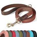 Didog PU Leather Dog Leash for Medium Dogs, 5ft Soft Padded Handle, Brown