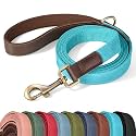 Didog PU Leather Dog Leash for Medium Dogs, 5ft Padded Handle, Light Blue