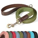 Didog PU Leather Dog Leash for Medium Dogs, 5ft Padded Handle, Olive Green