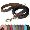Didog PU Leather Dog Leash for Medium Dogs, 5ft Soft Padded Handle, Black