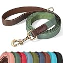 Didog PU Leather Dog Leash for Small Dogs, 5ft Soft Padded Handle, Green
