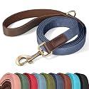 Didog PU Leather Dog Leash for Small Dogs, 5ft Soft Padded Handle, Blue