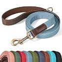 Didog PU Leather Dog Leash for Small Dogs, 5ft Padded Handle, Denim Blue