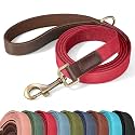 Didog PU Leather Dog Leash for Small Dogs, 5ft Soft Padded Handle, Red