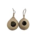 Safest Round Organic Hanging Bird Nest Purely Handmade Sparrow Small Birds 10x6 Inches Pack of 2