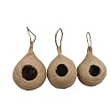 Safest Round Organic Hanging Bird Nest Purely Handmade Sparrow Small Birds 10x6 Inches Pack of 3