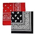 Unisex Soft Breathable Cotton Paisley Printed Cowboy Bandanas,Headband,Scarf (Multicolour_50CM X 50CM)