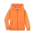 DILBYKE Boys Girls Hoodies Hooded Sweatshirts Solid Fleece Hoodie Classic Full Zipper Top Plush Cotton