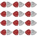 DILIBRA 24 Pcs Metallic Cheerleading Pom Poms with Baton Handle (Sliver+Red