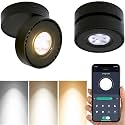 Dimmable Art Ceiling Spotlight LED - 360° Adjustable Surface Mounted Dimming 12W COB Lighting Indoor Ceiling Downlight Aluminum Wall Spot Light for Bedrooms Rooms Corridors Gallery Display (Black)
