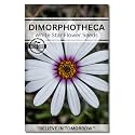 Dimorphotheca Flower Seeds for Home Gardening. Perfect for Terrace Gardening Winter and Summer Blooms in India - Includes Free E-Book for Kitchen, Backyard, Gardening &amp; Planting. High Germination