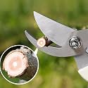 Dinojames Tool Easily Punches Gardening Tool Set Stainless Steel Garden Pruner/Scissors, Pruning Seeds, Flower Cutter and Grass Cutter, 18cm (Multicolour)